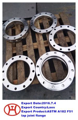 ASTM A182 F51 Bindirmeli Ortak Flanş