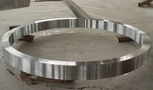 Inconel  783 / UNS R 30783  Dövme Halka Diski