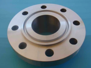 ASME B 16. 5 1 / 2 inç - 2 4 inç Dövme Alaşım  600  Inconel  600  ASTM B 564  UNS N {{7} } DIN 2. 48 16 WN SO BL SW LJ TH Flanş