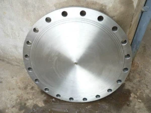 ASTM B564 Inconel 600 ASME B16.47 Serises B 75# 150# 300# 400# 600# 900# Alaşım 600 Kaynak Boyun Lufuz Luflum