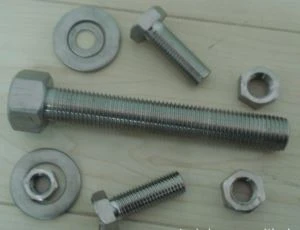 Metrik Boyut UNS N10675 2. 4600  Alaşım B {{{2}} Hastelloy B {{2}} ASME B'ye Göre Çift Uçlu Saplama 18. 31. 2