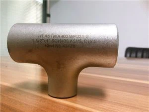 ASTM A403 WP304L Tişört