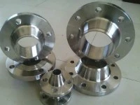 Inconel 601 Flanş